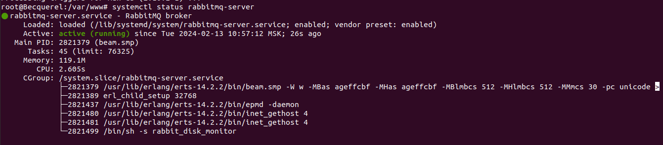 Check rabbitmq-server